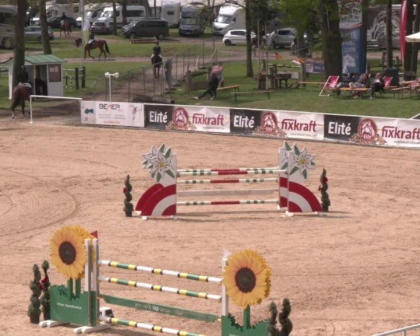 Internationales Springturnier Stadl-Paura 2025
