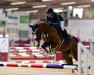 jumper Maloubetty (KWPN (Royal Dutch Sporthorse), 2018, from Maloubet de Pleville)