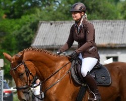 jumper Illy's Inola GP (anglo european sporthorse, 2017, from Ille Et Vilaine A)