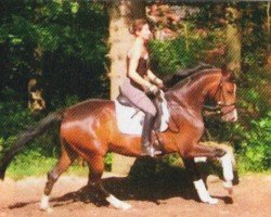 dressage horse Frini 2 (Oldenburg, 2008, from For Compliment)
