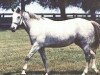 broodmare Spectacular xx (Thoroughbred, 1970, from Promised Land xx)