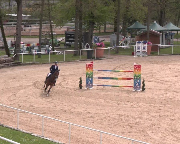 Internationales Springturnier Stadl-Paura 2025