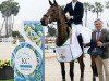 broodmare Gin Tonic van het Gerendal Z (Zangersheide riding horse, 2016, from George Z)