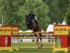 stallion Castlefield Cornet (Holsteiner, 2016, from Cornet Obolensky)