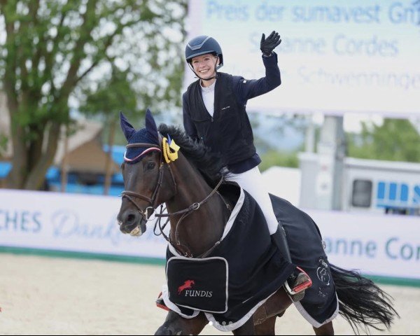 Springpferd Diamant du Buisson Z (Zangersheide Reitpferd, 2011, von Dutch Capitol)