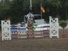 jumper Grisa Neska Khr (Hanoverian, 2016, from Grey Top)