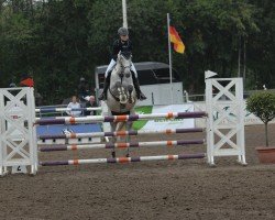 jumper Grisa Neska Khr (Hanoverian, 2016, from Grey Top)