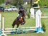 Dressurpferd Cassiopeia 140 (Deutsches Reitpony, 2019, von Classic Dancer I)