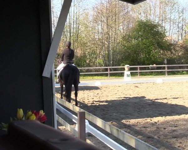 Reitturnier Kleinsolter Turniertage 2025