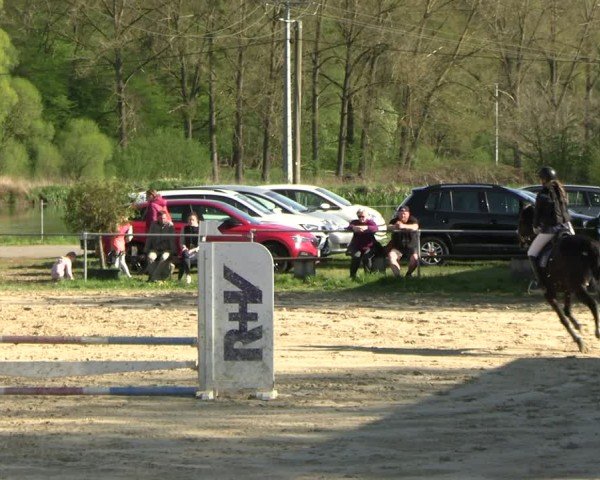 Reitturnier Bad Liebenstein 2025