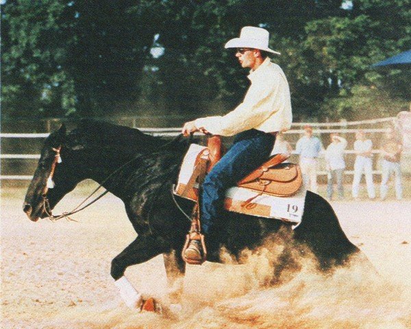 stallion Mr Yukon Wonder (Quarter Horse, 1991, from Shades Of Wonder)