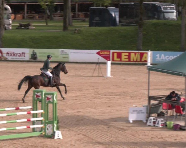 Internationales Springturnier Stadl-Paura 2025