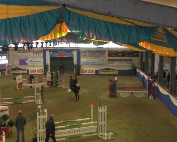 Spring-Pferde-Festival Lathen 2014
