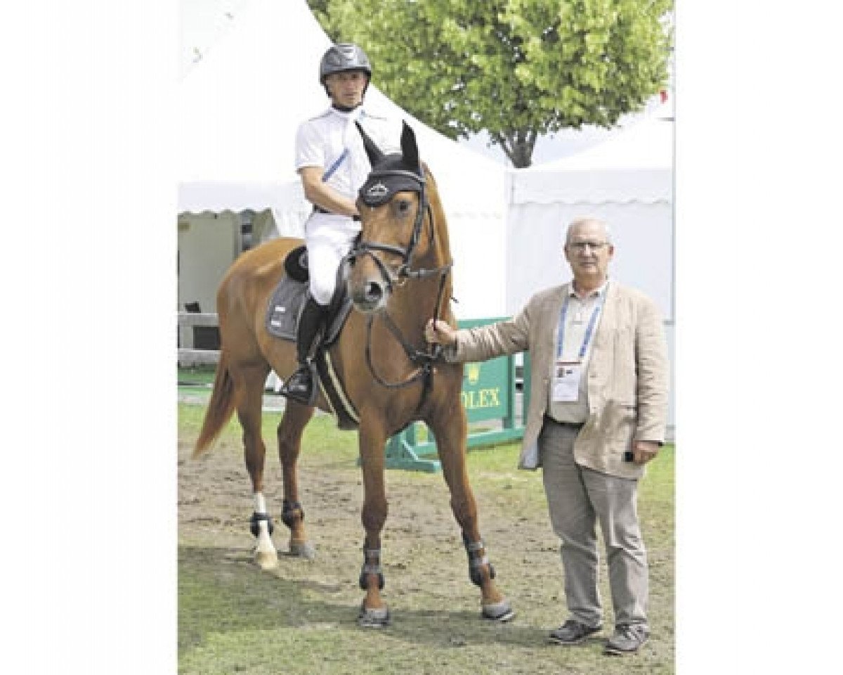 jumper Vadrouille d'Avril (Anglo-Arabs, 2009, from Popayann AA)