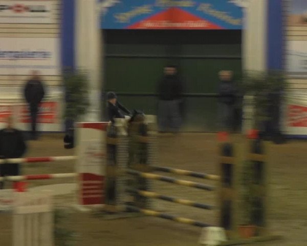 Spring-Pferde-Festival Lathen 2014