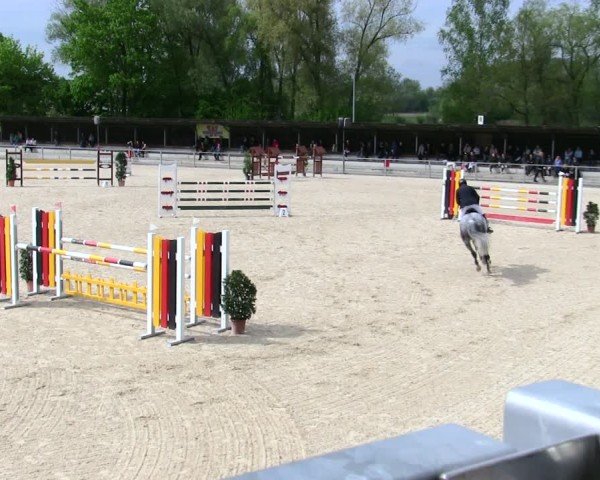Reitturnier Ingolstadt-Hagau/Obb. 2025