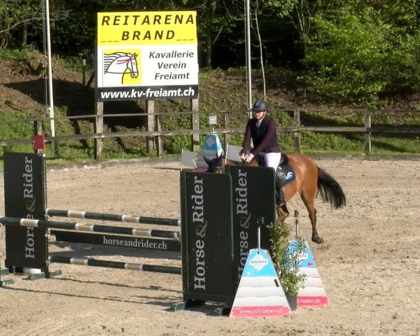 Reitturnier Sins 2025