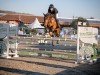 jumper Cornesina Melloni (Zangersheide riding horse, 2019, from Cornet Obolensky)