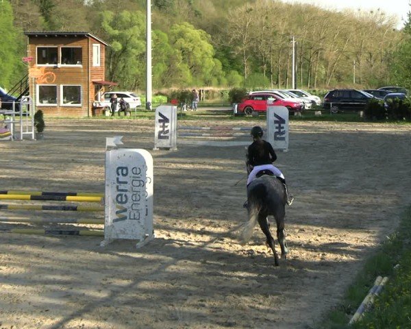 Reitturnier Bad Liebenstein 2025