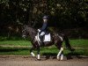 dressage horse Romy 235 (unknown, 2009)