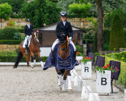 dressage horse Kroesus 5 (German Riding Pony, 2017, from Kachunga)