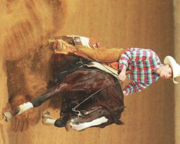 Deckhengst Smart Recall (Quarter Horse, 1998, von Smart an Chromed)