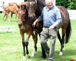 broodmare Shaharit xx (Thoroughbred, 1990, from Shardari xx)