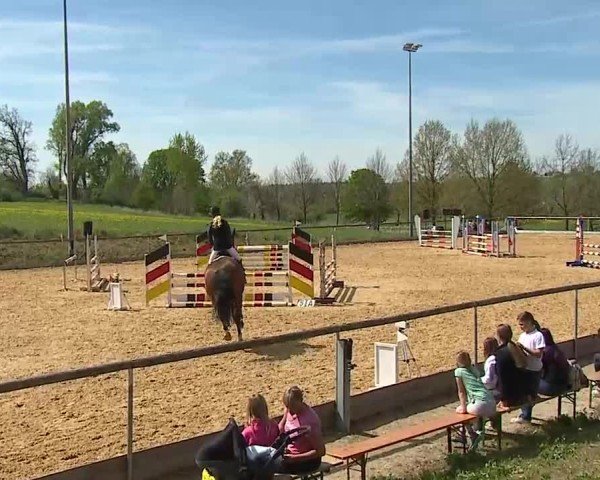 Reitturnier Altentrüdingen 2025