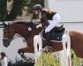 Springpferd Clay de La Grant (Deutsches Sportpferd, 2017, von Coronitas)