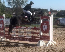 jumper Luna 1802 (German Riding Pony, 2007, from Auheim's Maximus)