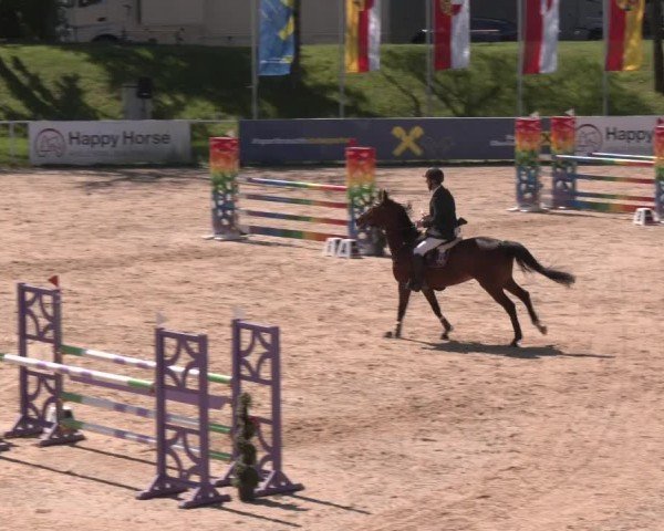 Internationales Springturnier Stadl-Paura 2025