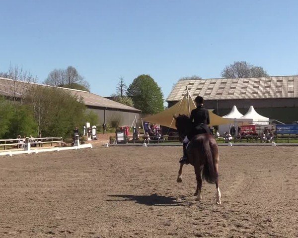 Reitturnier Kleinsolter Turniertage 2025