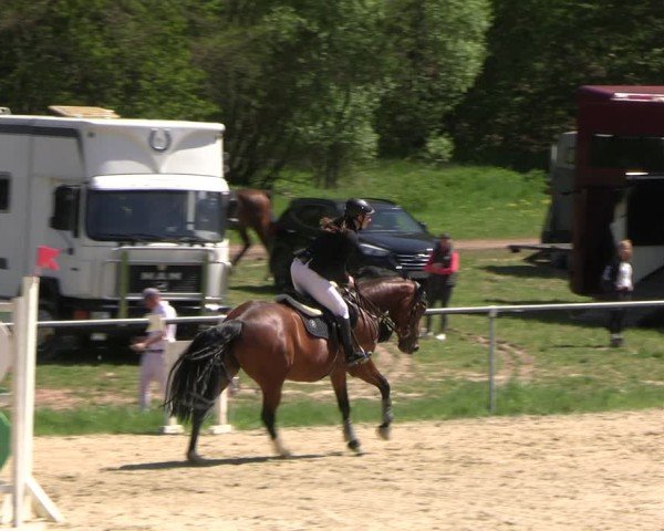 Reitturnier Bad Liebenstein 2025