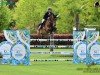 jumper Amelie (Westphalian, 2015, from A La Carte NRW)