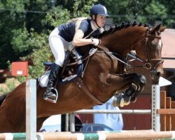 dressage horse Josette (Bavarian, 2002, from Lanciano)