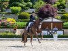 dressage horse Sir John 22 (Bavarian, 2006, from Sir Donnerhall I)