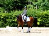 dressage horse Velvet Dancer 5 (German Riding Pony, 2014, from Valido's Highlight)