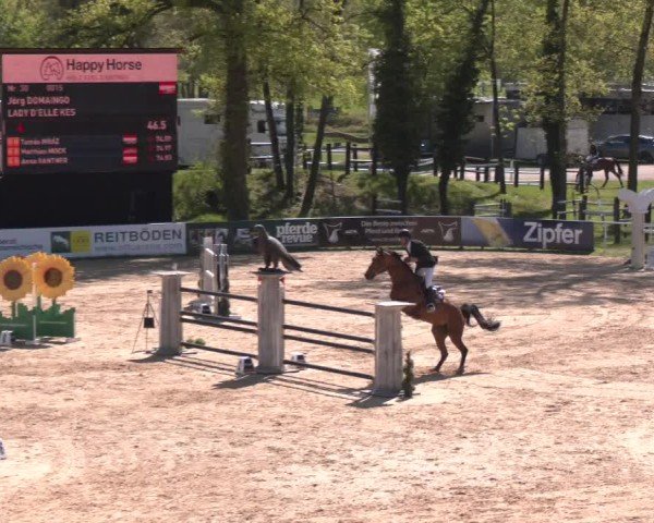 Internationales Springturnier Stadl-Paura 2025