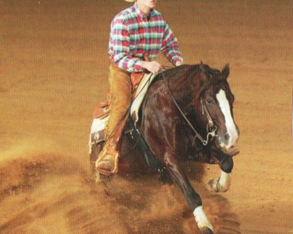 stallion Smart Recall (Quarter Horse, 1998, from Smart an Chromed)