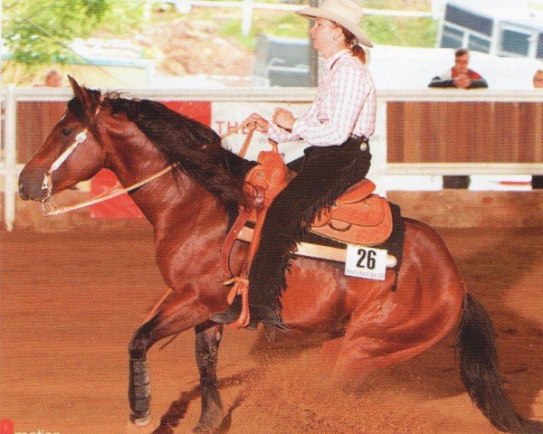 horse Smartest Coice (Quarter Horse, 2000, from Smartin)