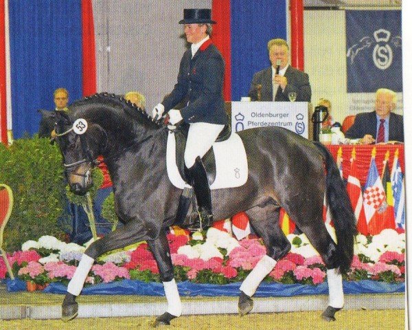 dressage horse Sailor Moon (Oldenburg, 2006, from Sandro Hit)