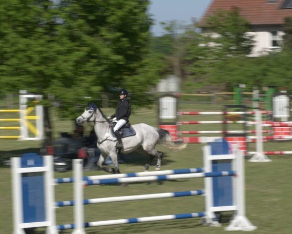 Reitturnier Luckau 2025