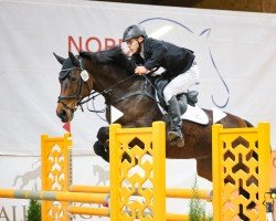 jumper Debbie (Holsteiner, 2011, from Cesano II)