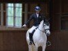 dressage horse Tara 357 (polish noble half-breed, 2017)