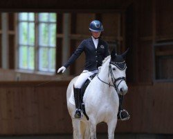 Dressurpferd Tara 357 (Polnisches edles Halbblut, 2017)