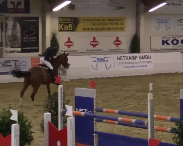 Hallenspringturnier in Borken 2014