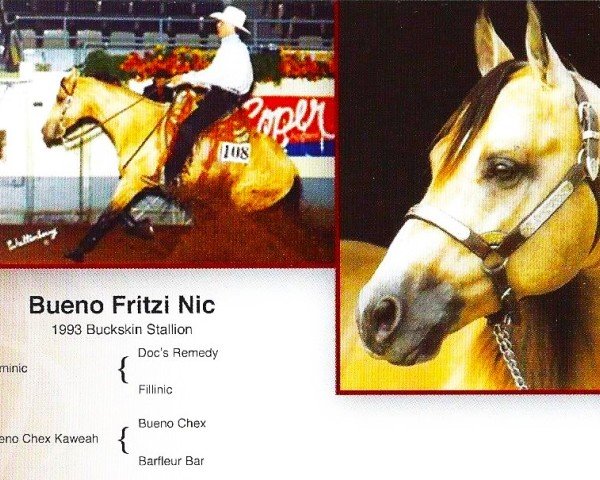 Pferd Bueno Fritzi Nic (Quarter Horse, 1993, von Reminic)