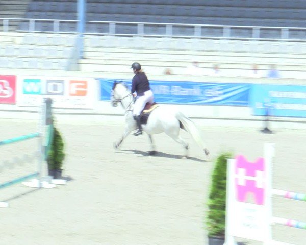 Reitturnier Aachen 2025