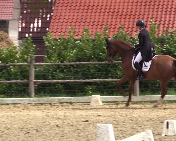 Reitturnier Warendorf, Reitstall am Rothenbach 2025