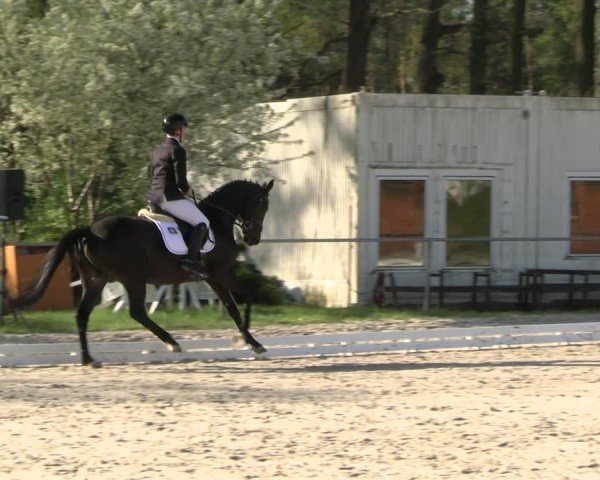 Reitturnier Pietzpuhl 2025